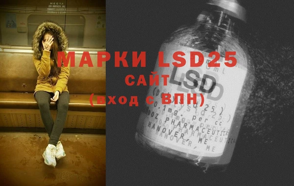 ГАЛЛЮЦИНОГЕННЫЕ ГРИБЫ Белая Холуница