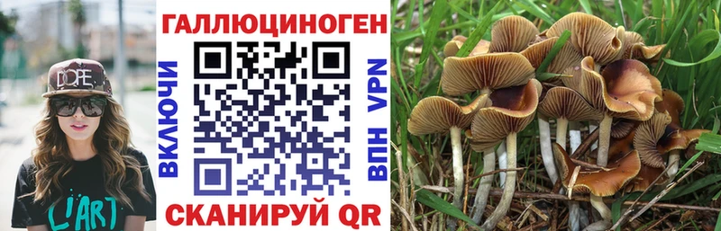 Псилоцибиновые грибы Magic Shrooms Неман
